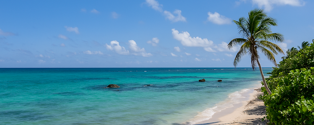 Smart Investment: Resale Properties vs. Pre-Sale Developments