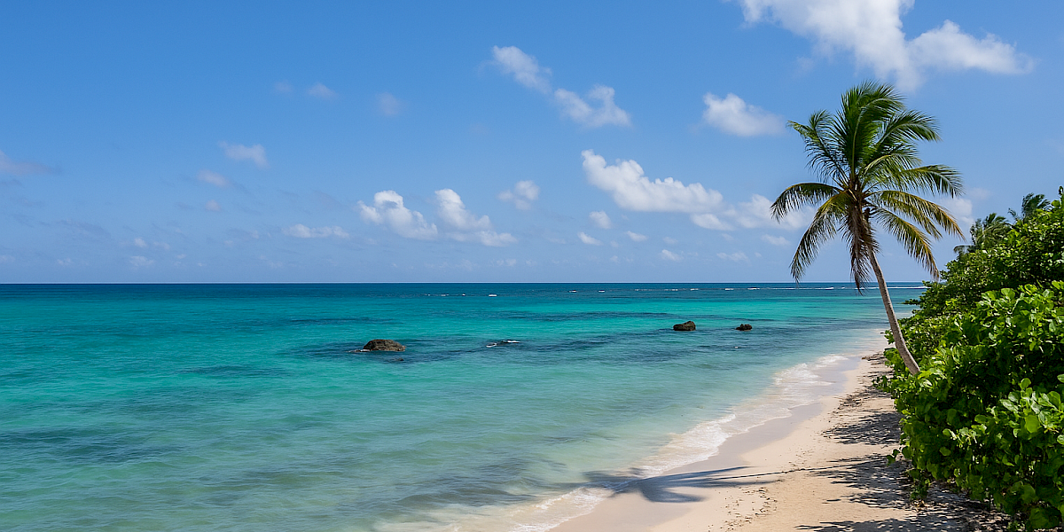 Smart Investment: Resale Properties vs. Pre-Sale Developments