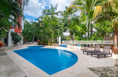 Playa Del Carmen Real Estate Listing | Condo Atsi
