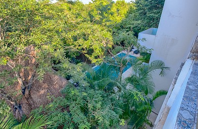 Akumal Real Estate Listing | Akumal Chic Condo