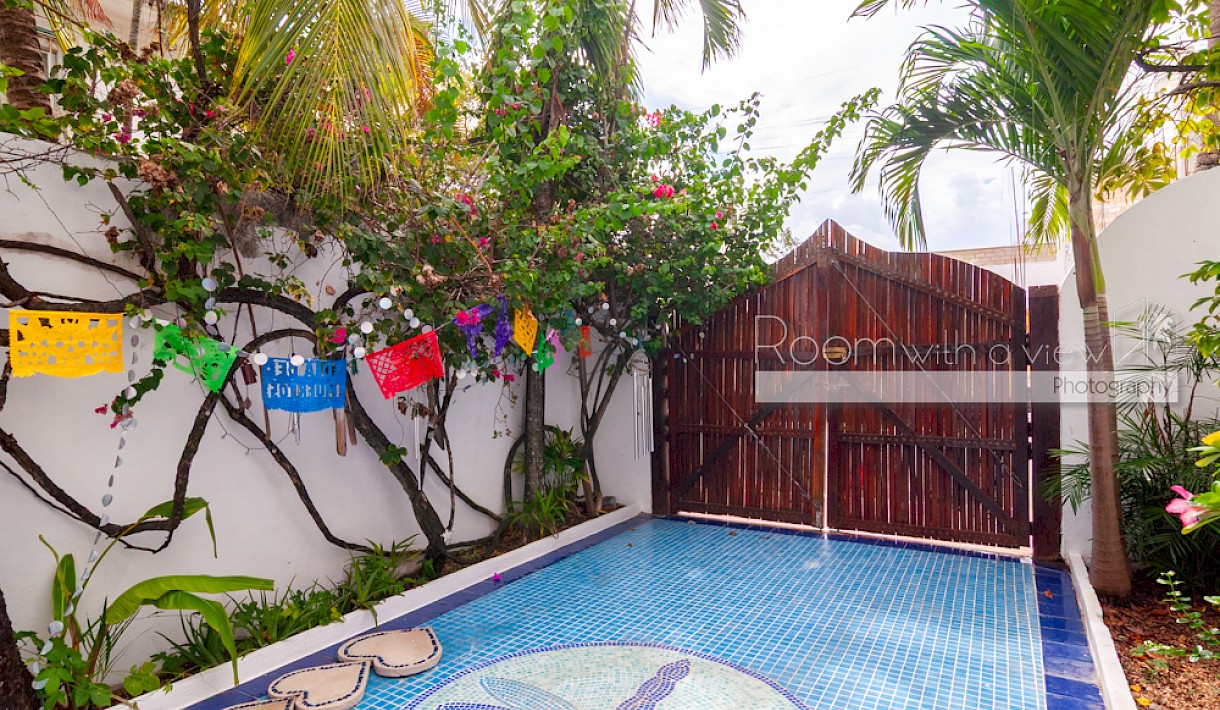 Playa Del Carmen Real Estate Listing | Casa Dragonfly & the Blue Dragonfly Condos