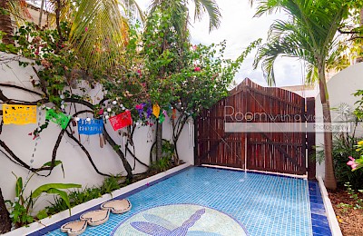 Playa Del Carmen Real Estate Listing \| Casa Dragonfly & the Blue Dragonfly Condos