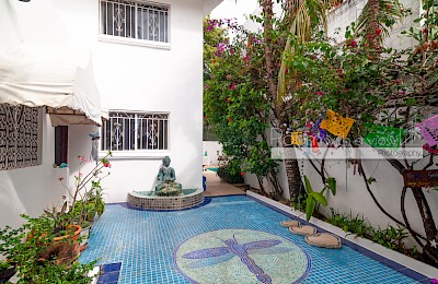 Playa Del Carmen Real Estate Listing \| Casa Dragonfly & the Blue Dragonfly Condos