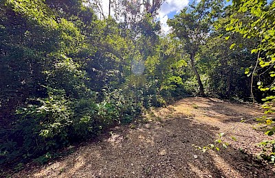 Chemuyil Real Estate Listing | Lote 20 Chemuyil