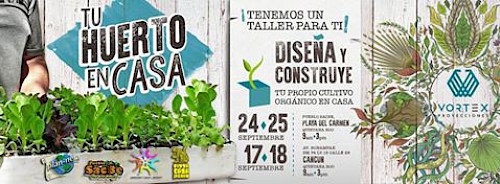 Organic Gardening Workshop in Playa del Carmen