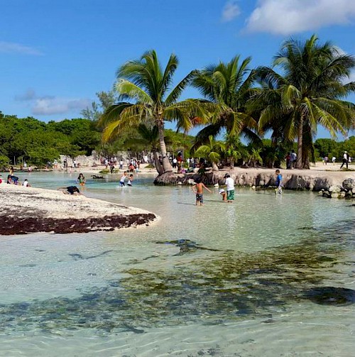 Punta Esmeralda Beach Cleanup Day