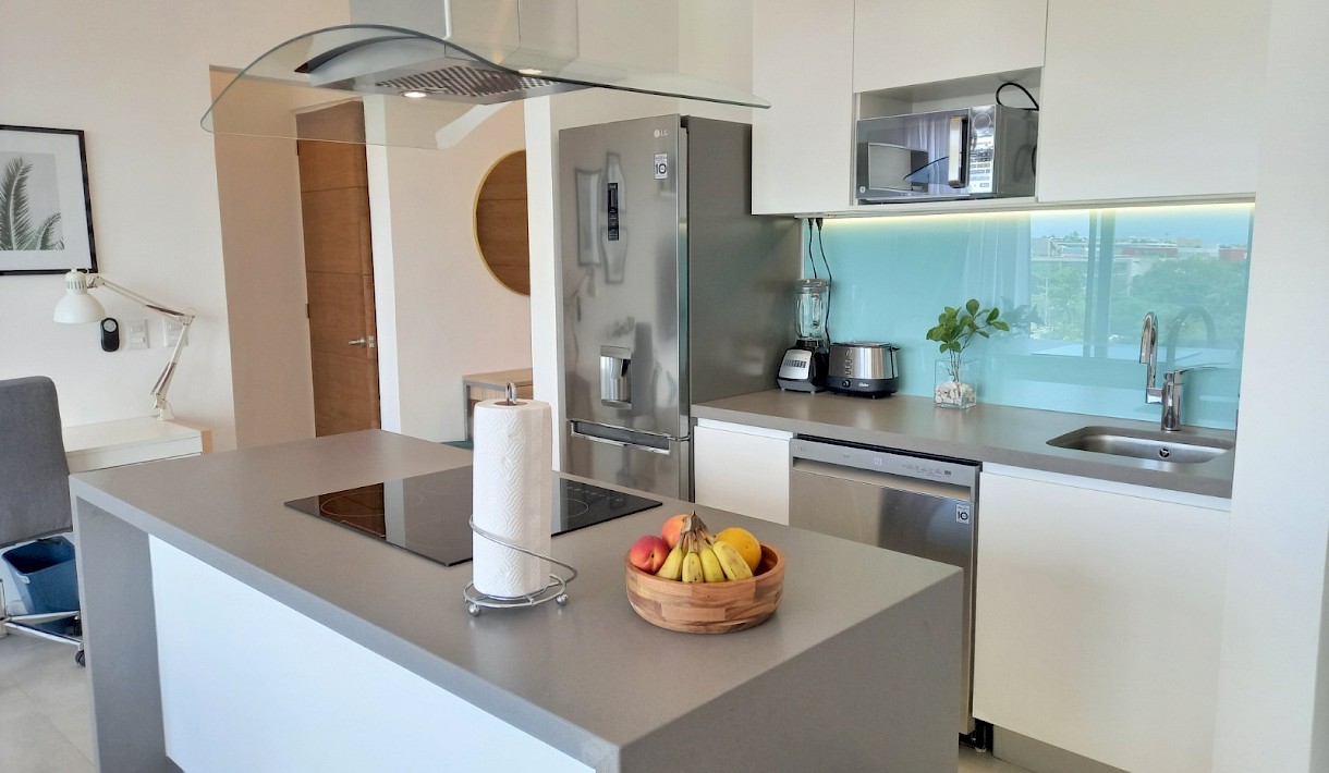 Playa Del Carmen Real Estate Listing | Nordic Lights PH