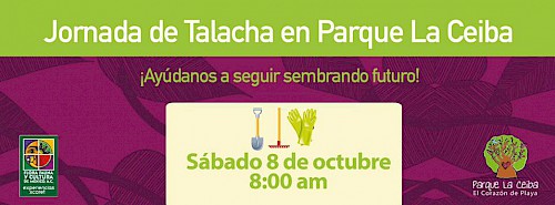 Park Clean-Up Day at Parque La Ceiba