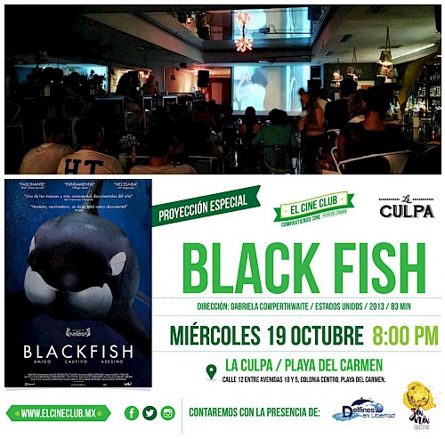 Movie Night at La Culpa Bar: Blackfish Documentary