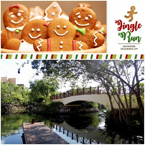 Jingle Run (5k) at Mayakoba