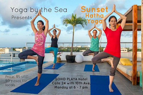 Sunset Hatha Yoga at Yoga By The Sea