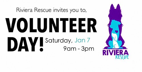 Volunteer Day with Riviera Animal Rescue