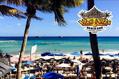 New Years Day Breakfast Buffet at Wah Wah Beach Bar