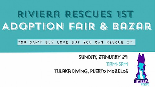 Riviera Rescue's 1st Adoption Fair & Bazar