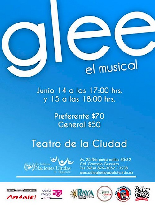 Glee The Musical