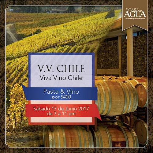 Viva Vino Chile Wine Paring Dinner at La Casa del Agua