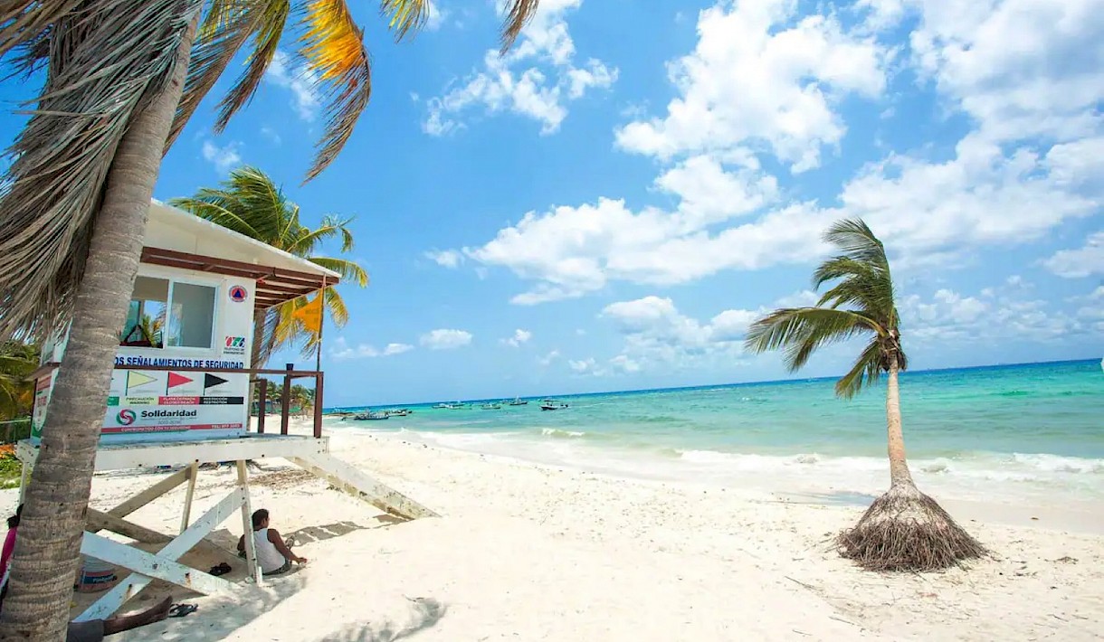 menesse on the beach playa del carmen