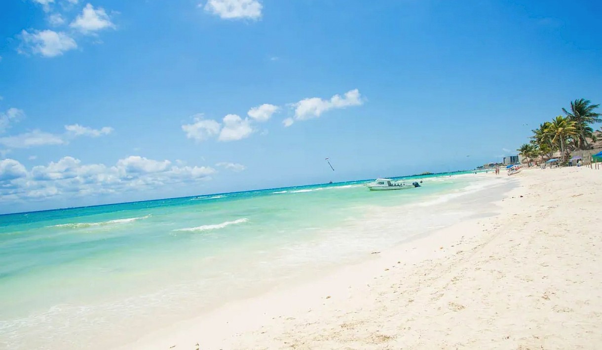 menesse on the beach playa del carmen