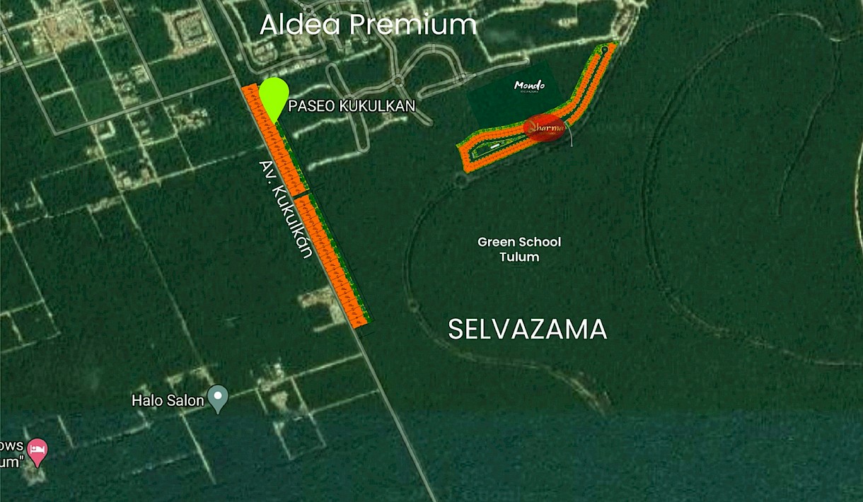 Tulum Real Estate Listing | Dharma Selvazama