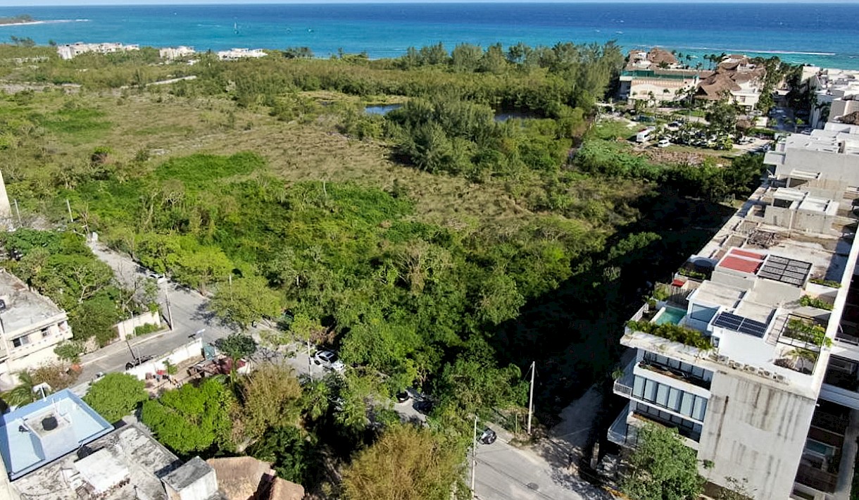 menesse playa del carmen for sale