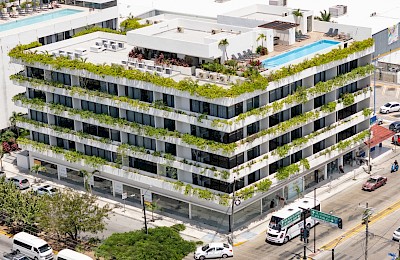 Playa Del Carmen Real Estate Listing | Sensai Downtown 1 Bedroom