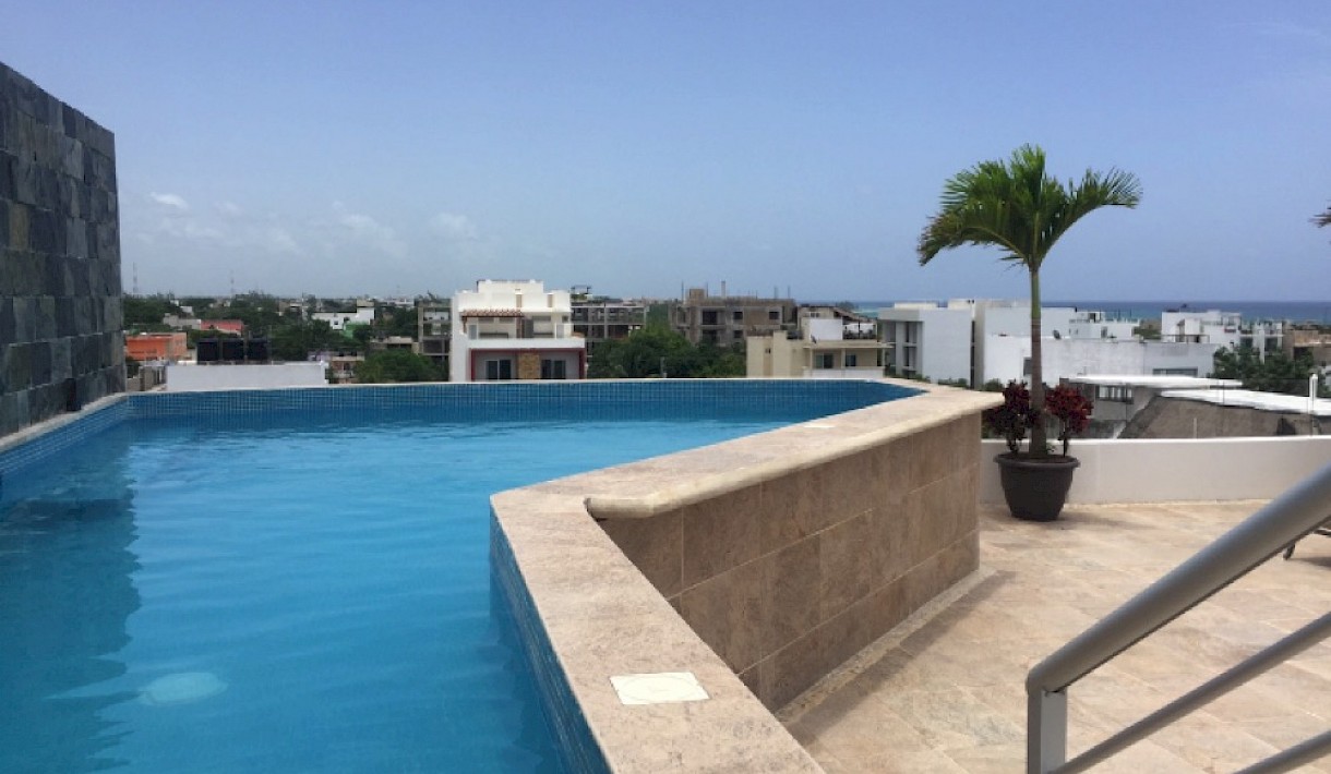 Playa Del Carmen Real Estate Listing | Studio CTM