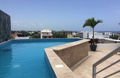 Playa Del Carmen Real Estate Listing | Studio CTM