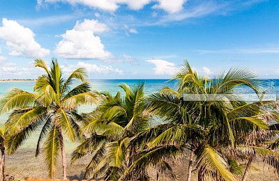 Akumal Real Estate Listing \| Casa Texoma