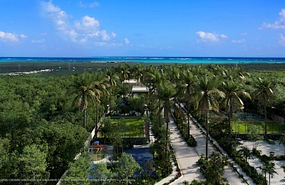 Playa Del Carmen Real Estate Listing | Selva Real Lots