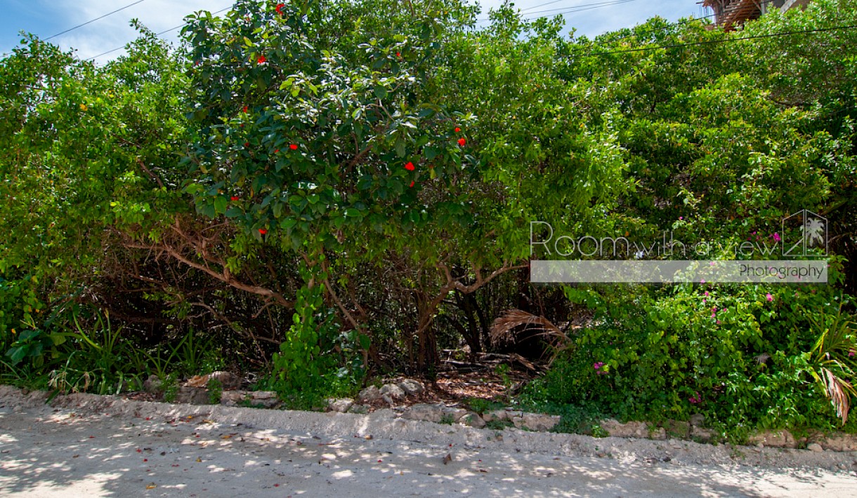 Tankah Real Estate Listing | Paraiso Tankah Lot