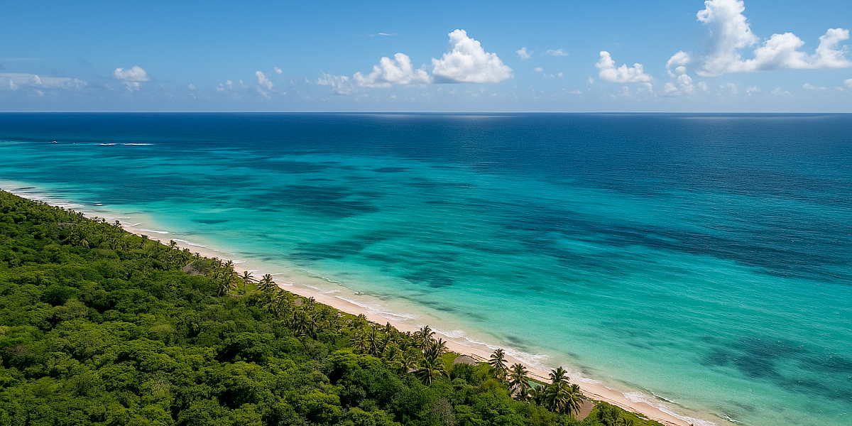 Giving Back in Paradise — Volunteer Opportunities in Playa del Carmen